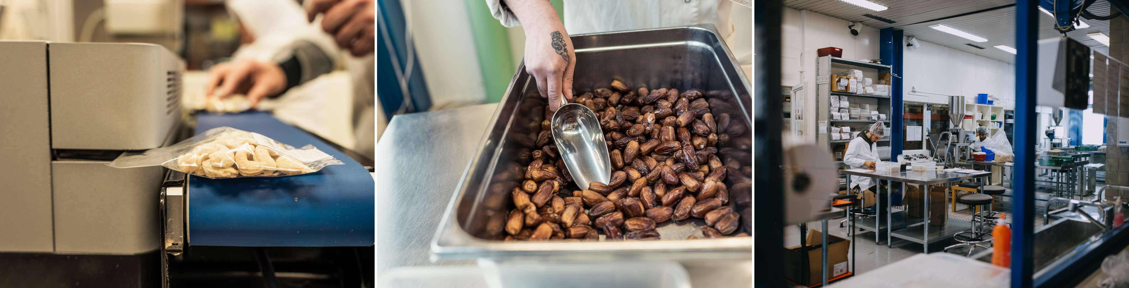 Stiftung Ancora-Meilestei